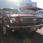 Us-Cars-and-bikes-Hugues-Malaps-243