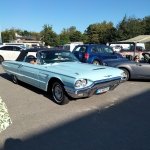 us-Cars-and-bikes-Steph-PT-2024025