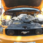 Us-Cars-and-bikes-SLEPROVOST-2024028