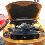 Us-Cars-and-bikes-SLEPROVOST-2024029