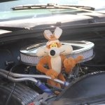 Us-Cars-and-bikes-SLEPROVOST-2024088