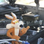 Us-Cars-and-bikes-SLEPROVOST-2024090