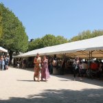 Us-Cars-and-bikes-SLEPROVOST-2024138