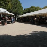 Us-Cars-and-bikes-SLEPROVOST-2024139