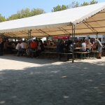 Us-Cars-and-bikes-SLEPROVOST-2024140