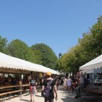 Us-Cars-and-bikes-SLEPROVOST-2024141