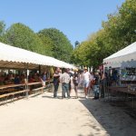 Us-Cars-and-bikes-SLEPROVOST-2024144