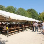 Us-Cars-and-bikes-SLEPROVOST-2024145