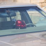 Us-Cars-and-bikes-SLEPROVOST-2024157