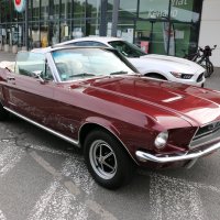 Us-cars-and-bikes-photos-2023-Hugues-54