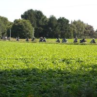 Us Cars and Bikes Pont-Scorff 2009