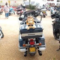 Us-Cars-and-bikes-2011-06