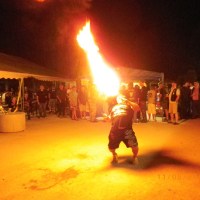 us-cars-and-bikes-2012-91